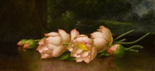 Цветки лотоса - Хед, Мартин Джонсон