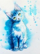 Голубой котенок
