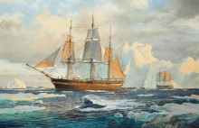 Китобойные судна Изабелла и Лебедьв арктических водах - Дьюз, Джон Стивен