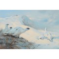 Тундряные куропатки на снегу - Торберн, Арчибальд