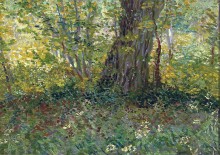 Подлесок (Undergrowth), 1887 - Гог, Винсент ван