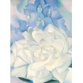 Белая роза и живокость - О'Кифф, Джорджия