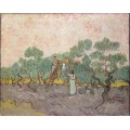 Сбор оливок, 1889 - Гог, Винсент ван