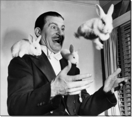 Жонглер Бен Бери жонглирование кроликами