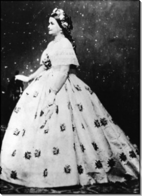 Мэри Тодд Линкольн в вечернем платье - Бреди, Мэтью