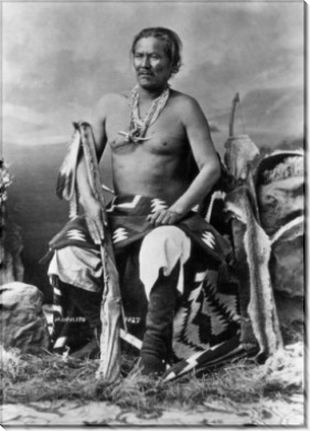 Главный воин Навахо
