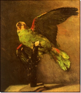 Зеленый попугай - Гог, Винсент ван