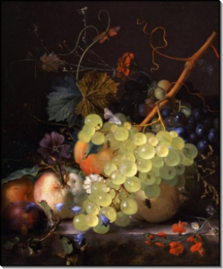 Натюрморт с виноградом и персиками на столе - Хейсум,  Ян ван