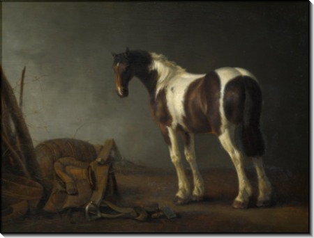 Лошадь рядом  с седлом - Кальрат, Абрахам ван