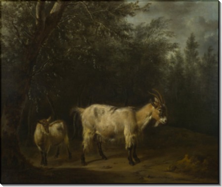 Коза с козленком - Велде, Адриан ван де