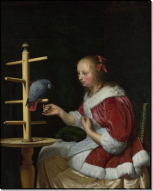 Женщина в красной куртке кормящая  попугая - Мирис, Франц ван (старший)