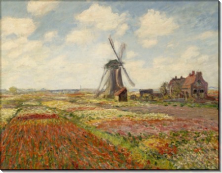 Поле тюльпанов в Голландии, 1886 - Моне, Клод