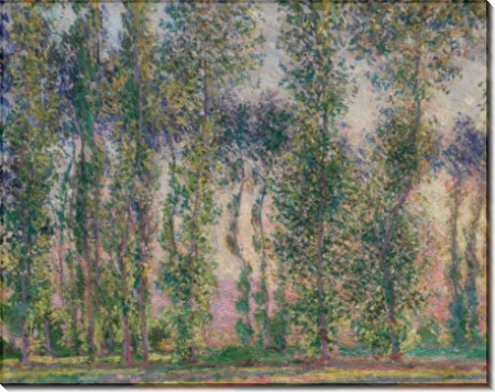Тополя в Живерни, 1887 - Моне, Клод