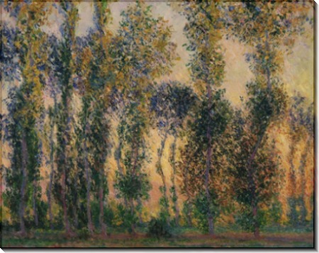 Тополя в Живерни, 1888 - Моне, Клод
