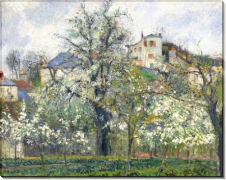 Цветущие деревья, весна, Понтуа - Писсарро, Камиль
