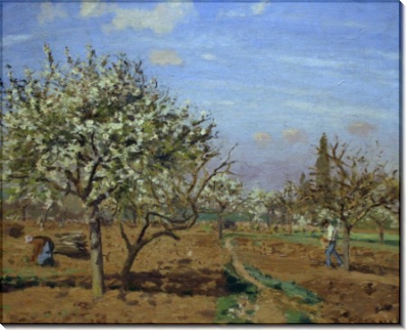 Фруктовый сад в цвету, Лувисьенн, 1892 1 - Писсарро, Камиль