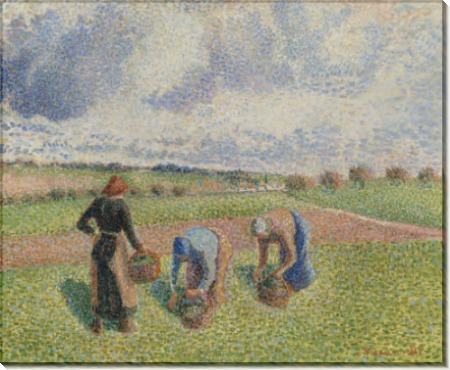 Крестьяне собирают травы, Эрани, 1886 - Писсарро, Камиль