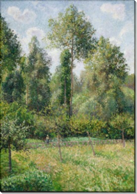 Тополя, Эрани,  1895 - Писсарро, Камиль