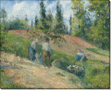 Урожай, Понтуаз, 1880 - Писсарро, Камиль