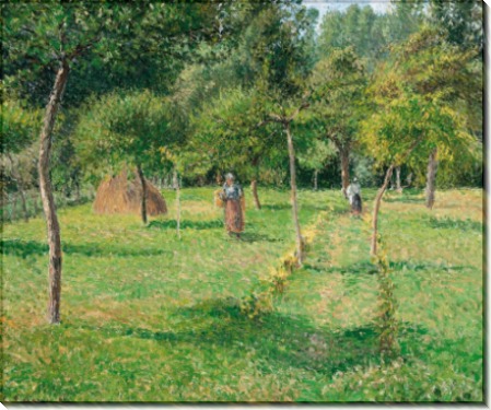 Сад в Эрагни, 1896 - Писсарро, Камиль
