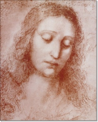 Эскиз женщины - Винчи, Леонардо да