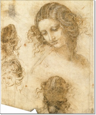 Рисунок женской головы к утраченной картине Леда - Винчи, Леонардо да