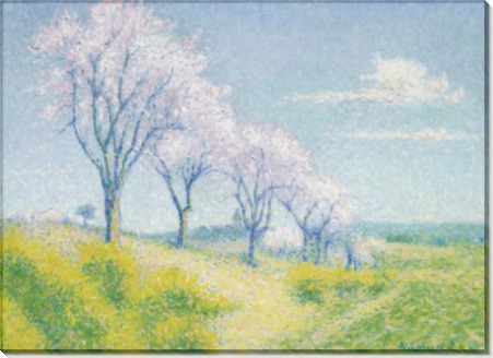 Миндальные деревья в цвету, Од - Ложе,  Ашиль 
