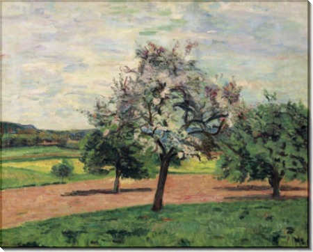 Яблони цветут, Иль-де-Франс, 1887 - Гийомен, Арманд