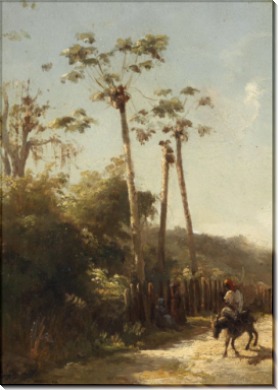 Антильский пейзаж и всадник на осле, 1856 - Писсарро, Камиль
