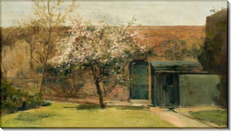 Цветение, Шантемес, 1893 -  Кондер, Чарльз 