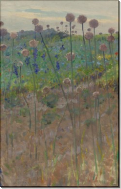 Полевые цветы, 1902 - Пирс, Чарльз Спрэг