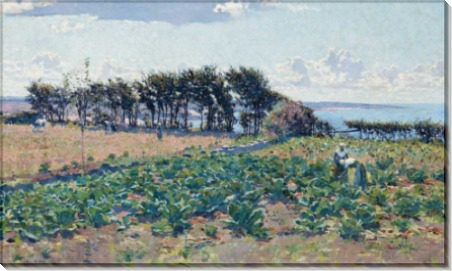 Поле капусты, 1889 - Фокс, Эмануэль Филлипс