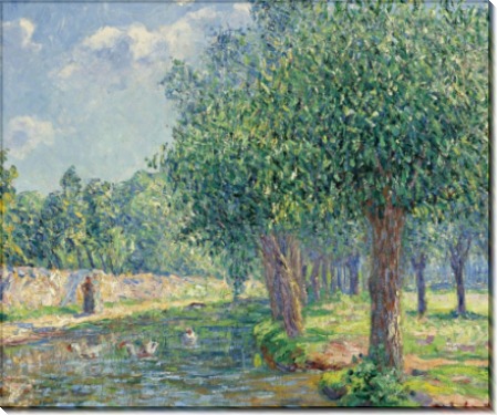 Пейзаж, 1906 - Пикабиа, Франсис