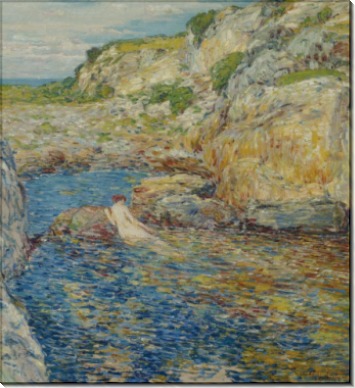 Морские водоросли  на скалах, 1902 - Хассам, Фредерик Чайлд 