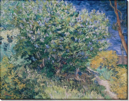 Куст сирени (Lilac Bush), 1889 - Гог, Винсент ван