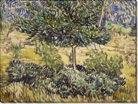 Деревья и кустарник в саду лечебницы Сен-Поль (Trees and Shrubs in the Asylum Garden), 1889 - Гог, Винсент ван