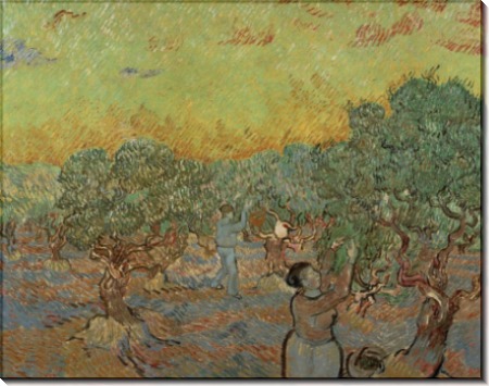 Оливковая роща с фигурами собирателей (Olive Grove with Picking Figures), 1889 - Гог, Винсент ван