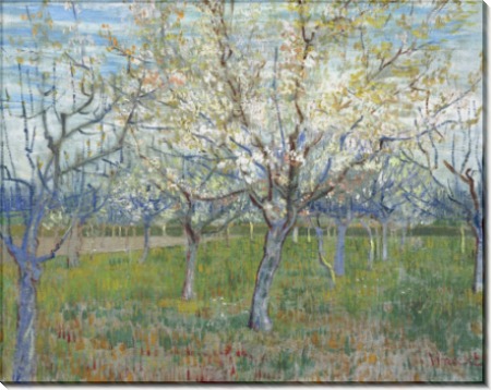 Фруктовый сад с цветущими абрикосами (Orchard with Blossoming Apricot Trees), 1888 - Гог, Винсент ван