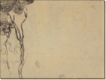 Набросок сосен (Sketch of Pine Trees), 1889 - Гог, Винсент ван