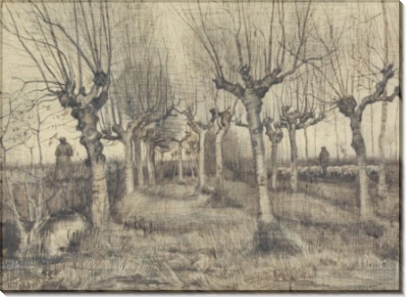 Березы (Pollard Birches), 1884 - Гог, Винсент ван