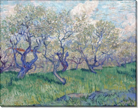 Фруктовый сад в цвету (Orchard in Blossom), 1888 - Гог, Винсент ван