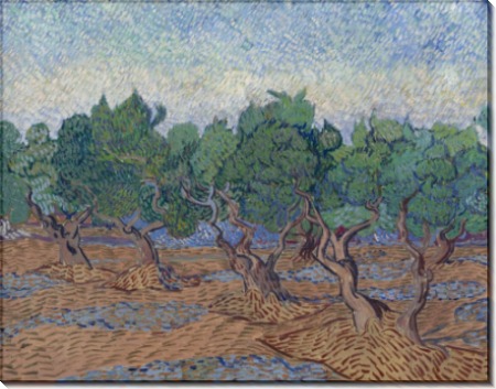 Оливковая роща (Olive Grove), 1889 03 - Гог, Винсент ван