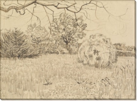 Парк с  кустарником (Park with Shrub), 1888 - Гог, Винсент ван