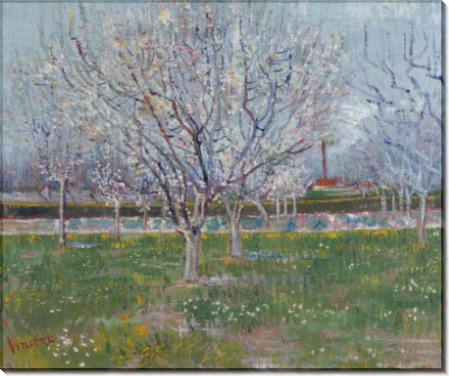 Цветущий фруктовый сад (Orchard in Blossom), 1888 - Гог, Винсент ван