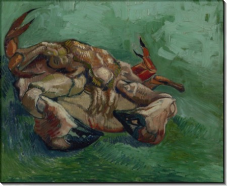 Краб на спине (Crab on It`s Back), 1889 - Гог, Винсент ван