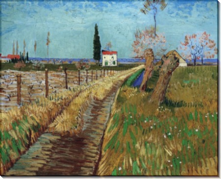 Дорожка через поле с ивами (Path through a Field with Willows), 1888 - Гог, Винсент ван