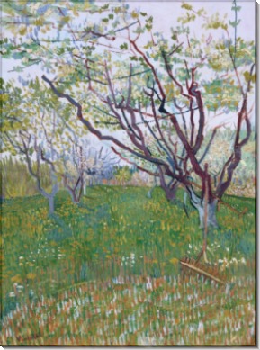 Фруктовый сад в цвету (Orchard in Bloom), 1888 - Гог, Винсент ван