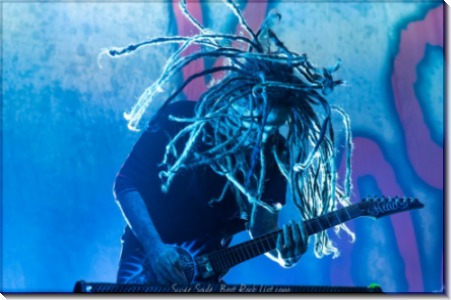 Korn_2