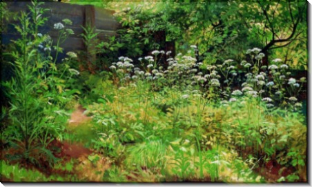 Уголок заросшего сада. Сныть-трава, 1885 - Шишкин, Иван Иванович