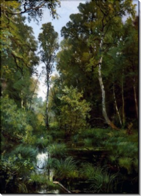 Заросший пруд у опушки леса. Сиверская, 1883 - Шишкин, Иван Иванович